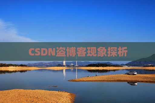 CSDN盗博客现象探析